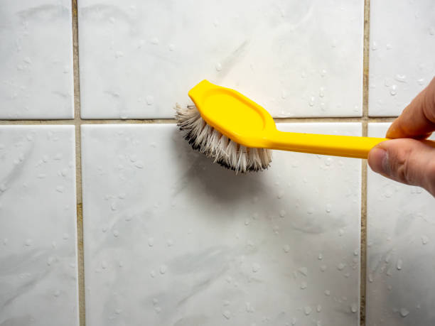 Home Mold Removal in Reidland, KY