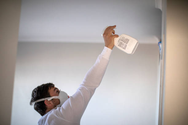 Mold Removal Process in Reidland, KY