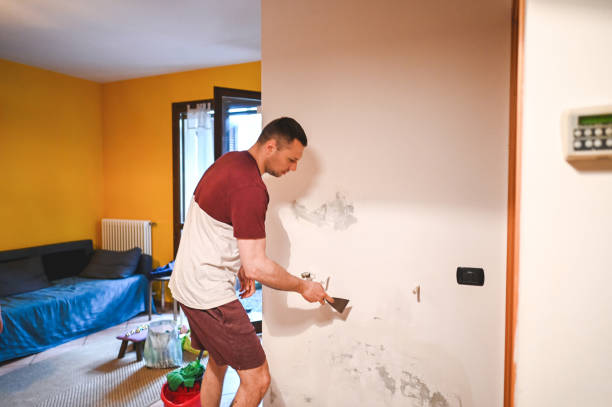 Best Mold Remediation  in Reidland, KY